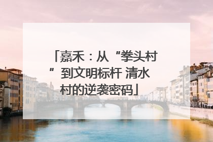 嘉禾：从“拳头村”到文明标杆 清水村的逆袭密码