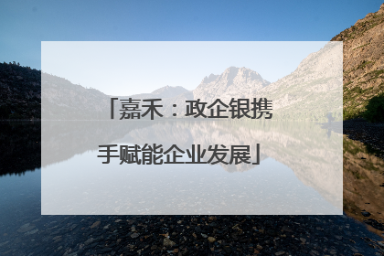 嘉禾：政企银携手赋能企业发展
