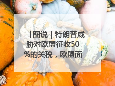 图说｜特朗普威胁对欧盟征收50%的关税，欧盟面临多重压力