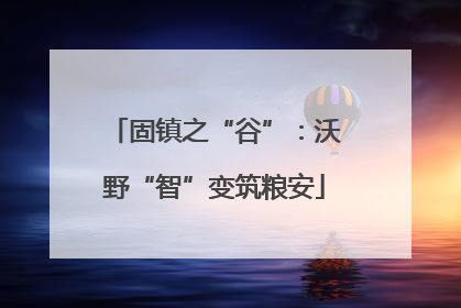固镇之“谷”：沃野“智”变筑粮安