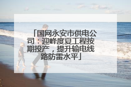 国网永安市供电公司：迎峰度夏工程按期投产，提升输电线路防雷水平