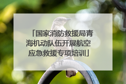 国家消防救援局青海机动队伍开展航空应急救援专项培训