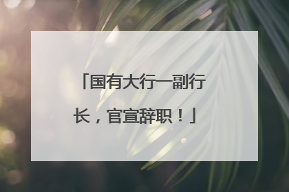 国有大行一副行长，官宣辞职！