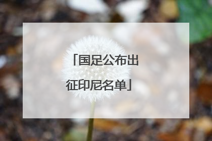 国足公布出征印尼名单