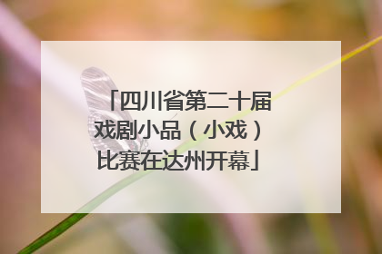 四川省第二十届戏剧小品（小戏）比赛在达州开幕