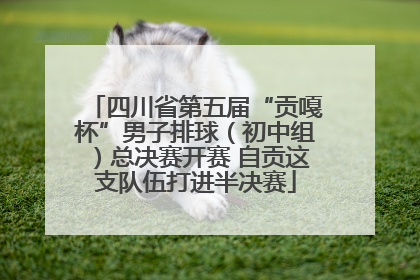 四川省第五届“贡嘎杯”男子排球（初中组）总决赛开赛 自贡这支队伍打进半决赛
