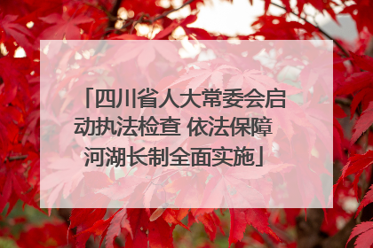 四川省人大常委会启动执法检查 依法保障河湖长制全面实施