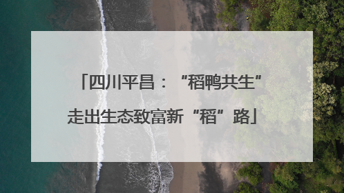 四川平昌：“稻鸭共生”走出生态致富新“稻”路