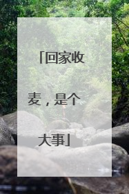 回家收麦，是个大事