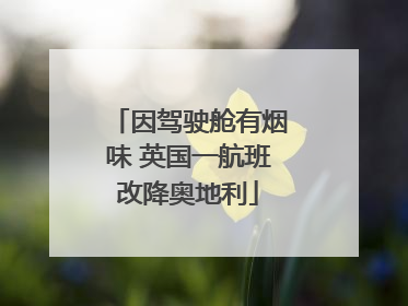 因驾驶舱有烟味 英国一航班改降奥地利