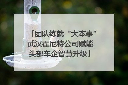 团队练就“大本事” 武汉霍尼特公司赋能头部车企智慧升级