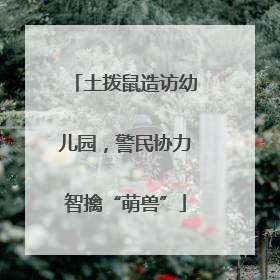 土拨鼠造访幼儿园，警民协力智擒“萌兽”