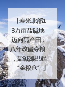 寿光北部13万亩盐碱地迈向高产田：八年改碱夺粮，盐碱滩拱起“金粮仓”