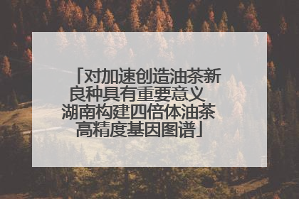 对加速创造油茶新良种具有重要意义 湖南构建四倍体油茶高精度基因图谱