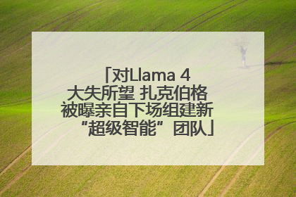 对Llama 4大失所望 扎克伯格被曝亲自下场组建新“超级智能”团队