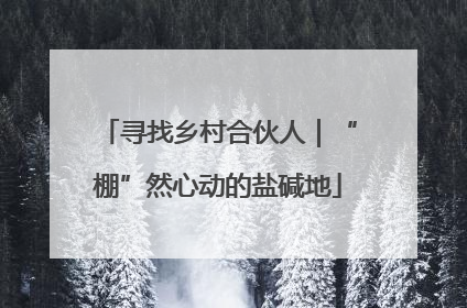 寻找乡村合伙人｜“棚”然心动的盐碱地
