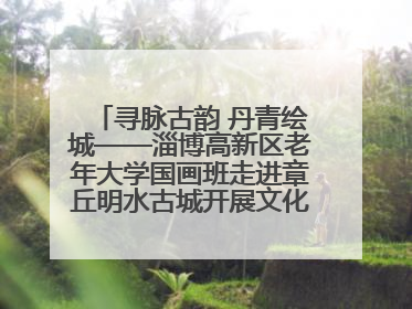 寻脉古韵 丹青绘城——淄博高新区老年大学国画班走进章丘明水古城开展文化研学活动