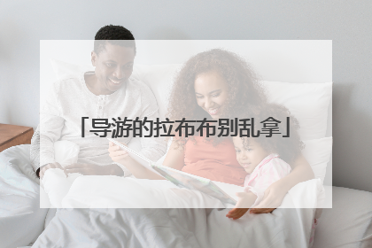 导游的拉布布别乱拿