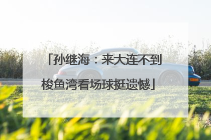 孙继海：来大连不到梭鱼湾看场球挺遗憾