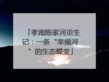 孝南陈家河重生记：一条“幸福河”的生态蝶变