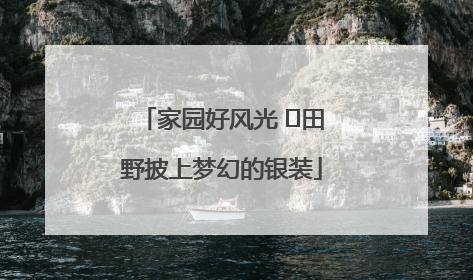 家园好风光 ⎮田野披上梦幻的银装