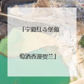 宁夏红寺堡葡萄酒香漫贺兰