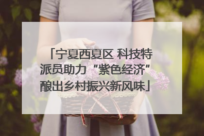 宁夏西夏区 科技特派员助力“紫色经济”酿出乡村振兴新风味