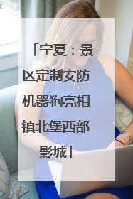宁夏：景区定制安防机器狗亮相镇北堡西部影城