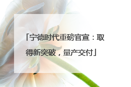 宁德时代重磅官宣：取得新突破，量产交付