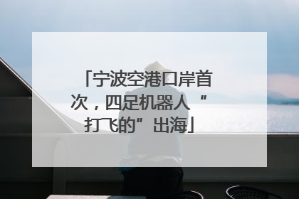 宁波空港口岸首次，四足机器人“打飞的”出海