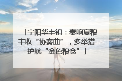 宁阳华丰镇：奏响夏粮丰收“协奏曲”，多举措护航“金色粮仓”