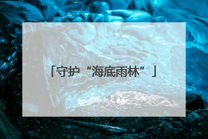 守护“海底雨林”