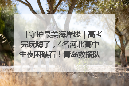 守护最美海岸线｜高考完玩嗨了，4名河北高中生夜困礁石！青岛救援队火速出动救上岸