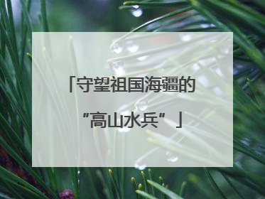 守望祖国海疆的“高山水兵”