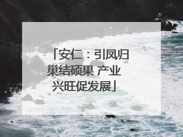 安仁：引凤归巢结硕果 产业兴旺促发展