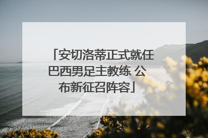 安切洛蒂正式就任巴西男足主教练 公布新征召阵容
