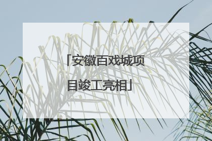 安徽百戏城项目竣工亮相