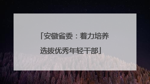 安徽省委：着力培养选拔优秀年轻干部