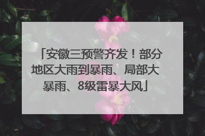 安徽三预警齐发！部分地区大雨到暴雨、局部大暴雨、8级雷暴大风