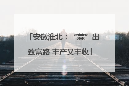 安徽淮北：“蒜”出致富路 丰产又丰收