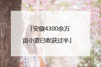 安徽4300余万亩小麦已收获过半