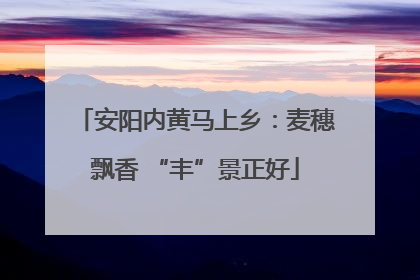 安阳内黄马上乡：麦穗飘香 “丰”景正好