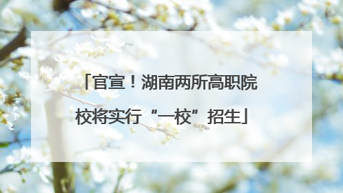 官宣！湖南两所高职院校将实行“一校”招生