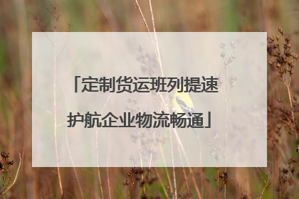 定制货运班列提速 护航企业物流畅通