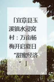 宜章县玉溪镇水浸窝村：万亩杨梅开启夏日“甜蜜经济”