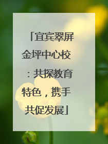 宜宾翠屏金坪中心校：共探教育特色，携手共促发展