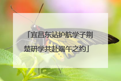 宜昌东站护航学子荆楚研学共赴端午之约
