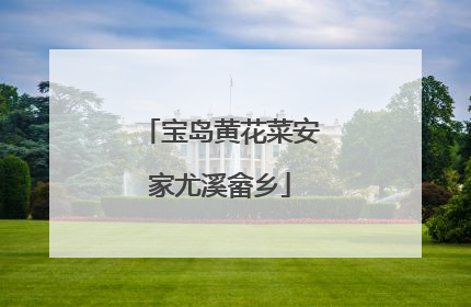 宝岛黄花菜安家尤溪畲乡