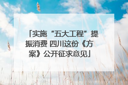 实施“五大工程”提振消费 四川这份《方案》公开征求意见