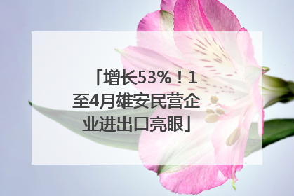 增长53%！1至4月雄安民营企业进出口亮眼